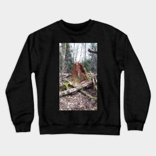 Burnaby park Crewneck Sweatshirt